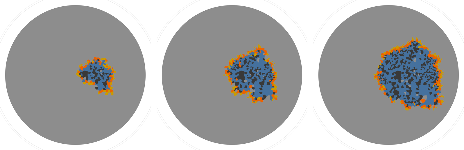 Three frames of a MemeLab Bundibugyo Ebola simulation on a Voronoi settlement network at days 100, 140 and 180, showing infection spreading outward as a front of exposed and infectious people through the settlements