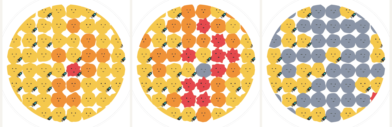 Three MemeLab simulator frames of a hypothetical school of 64 pupils with 37.6% immunised at days 14, 21 and 42 after one measles case: infection spreading from the centre until every pupil without a syringe mark has been infected